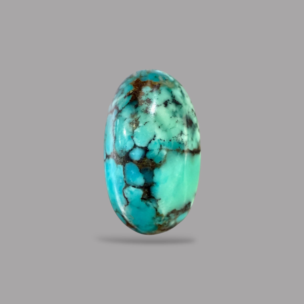 Nishapuri Feroza (Turquoise) Oval Cabochon 14.69 Carats  21.33 x 12.96 x 7.65 mm From Iran
