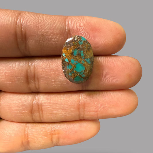 Nishapuri Feroza (Turquoise) Oval Cabochon 15.58 Carats  20.24 x 13.55 x 7.00 mm From Iran