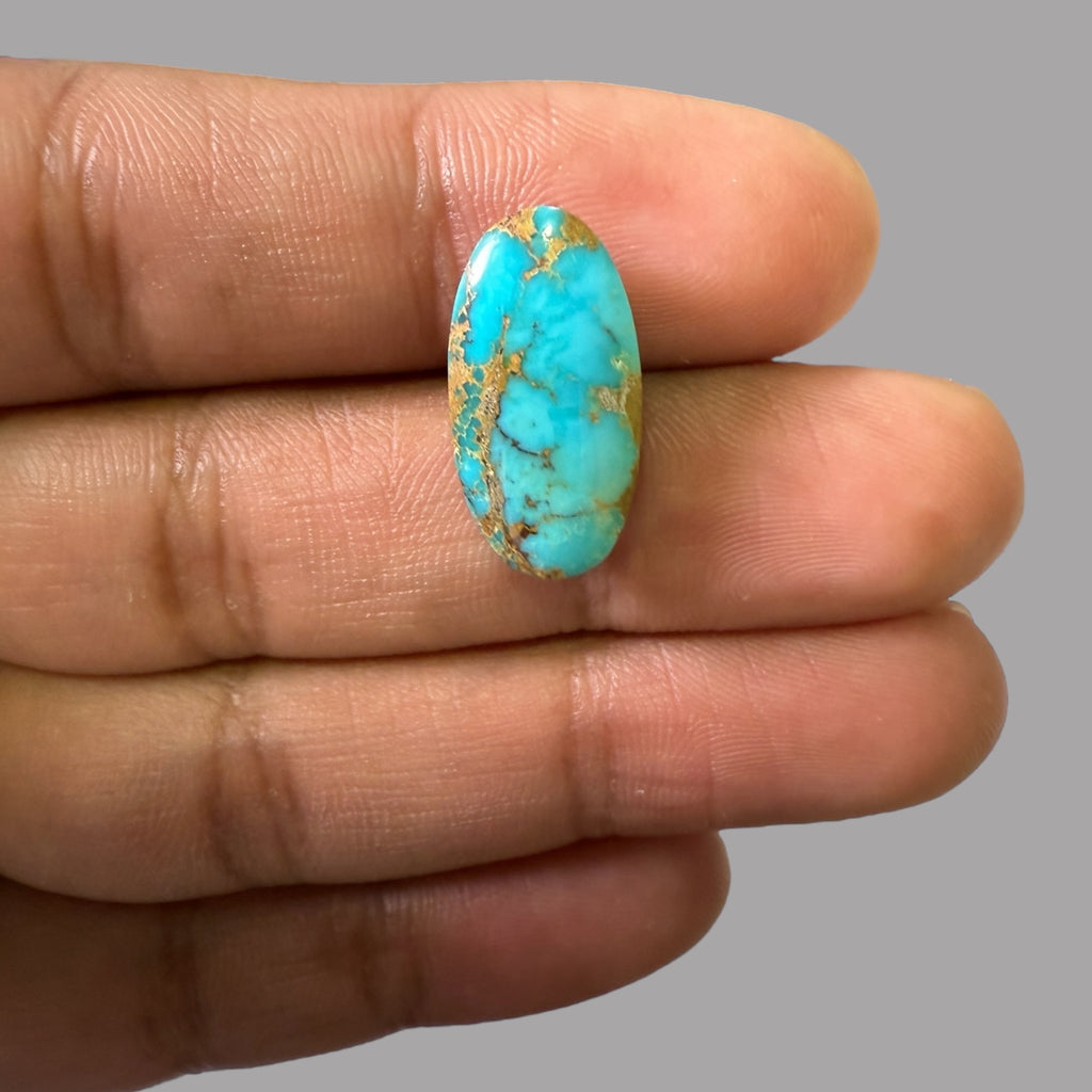 Nishapuri Feroza (Turquoise) Oval Cabochon 8.89 Carats  20.65 x 10.64 x 6.40 mm From Iran