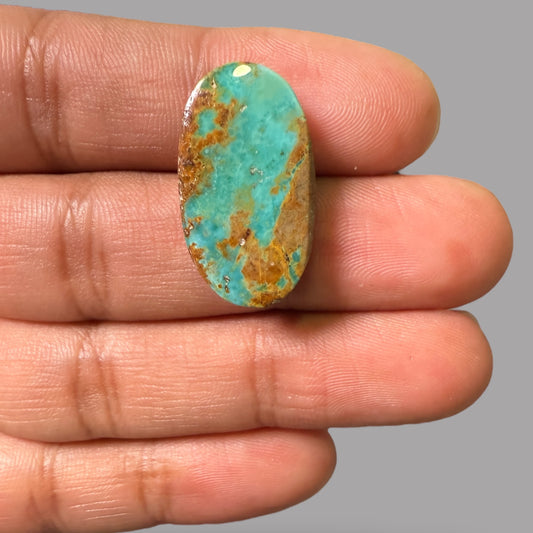 Nishapuri Feroza (Turquoise) Oval Cabochon 19.35 Carats  25.80 x 14.69 x 6.52 mm From Iran