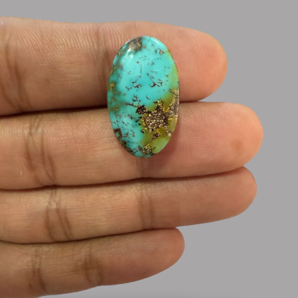 Nishapuri Feroza (Turquoise) Oval Cabochon 19.99 Carats  22.80 x 14.44 x 7.76 mm From Iran
