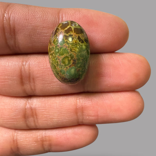 Nishapuri Feroza (Turquoise) Oval Cabochon 23.64 Carats  23.33 x 15.40 x 10.35 mm From Iran