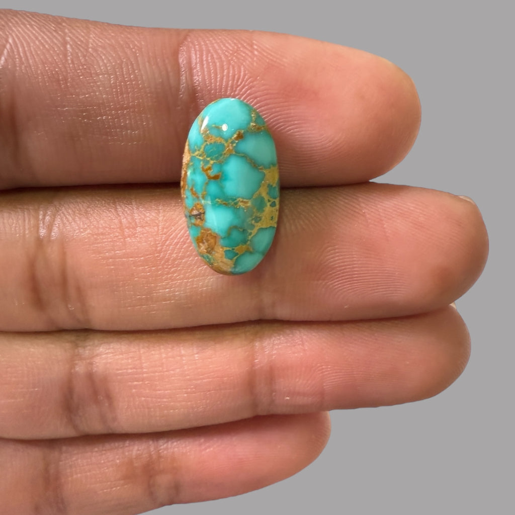 Nishapuri Feroza (Turquoise) Oval Cabochon 7.75 Carats  18.72 x 10.33 x 5.22 mm From Iran