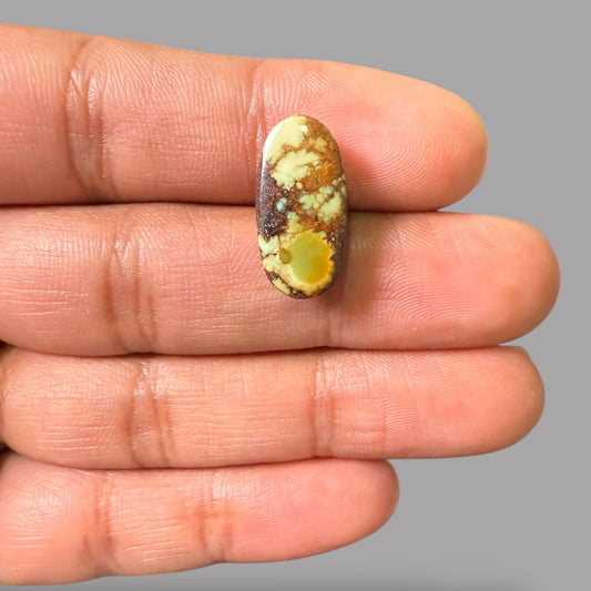 Nishapuri Feroza (Turquoise) Oval Cabochon 9.33 Carats  19.35 x 9.80 x 5.38 mm From Iran