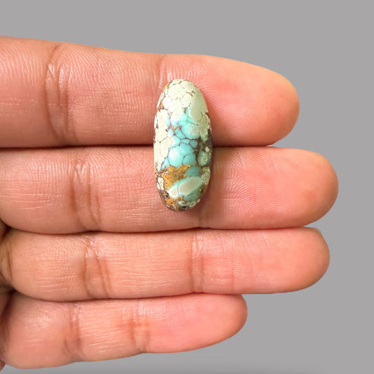 Nishapuri Feroza (Turquoise) Oval Cabochon 9.38 Carats  24.03 x 11.04 x 6.54 mm From Iran