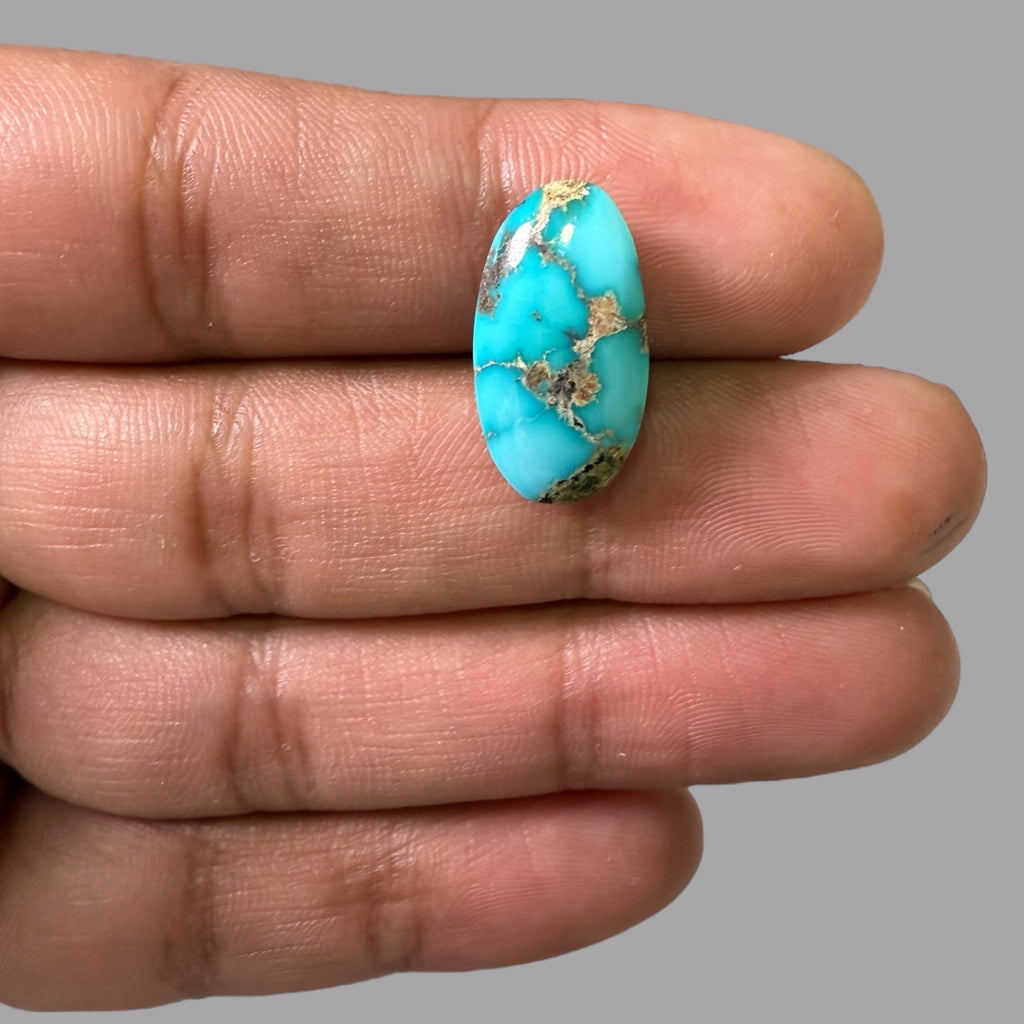 Nishapuri Feroza (Turquoise) Oval Cabochon 9.63 Carats  20.20 x 10.72 x 6.85 mm From Iran