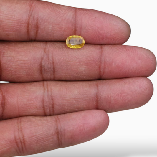 Oval Shape in Yellow Sapphire Gemstone 1.64 Carats & 8.8x6.2mm Size
