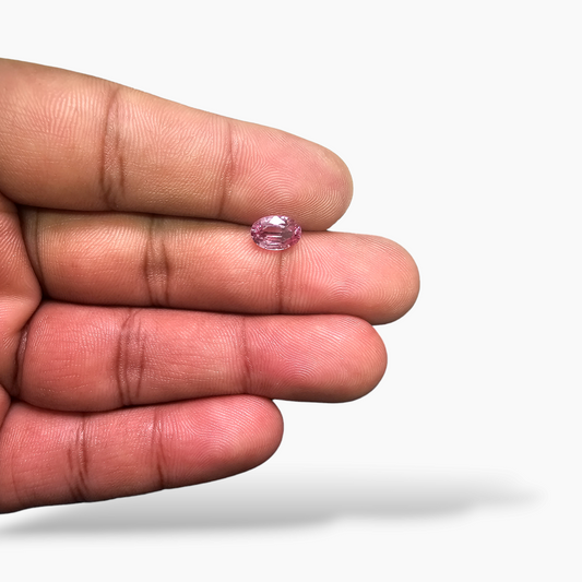 Natural Pink Spinel Stone 1.68 Carats Oval Cut (8.2x5.7mm)