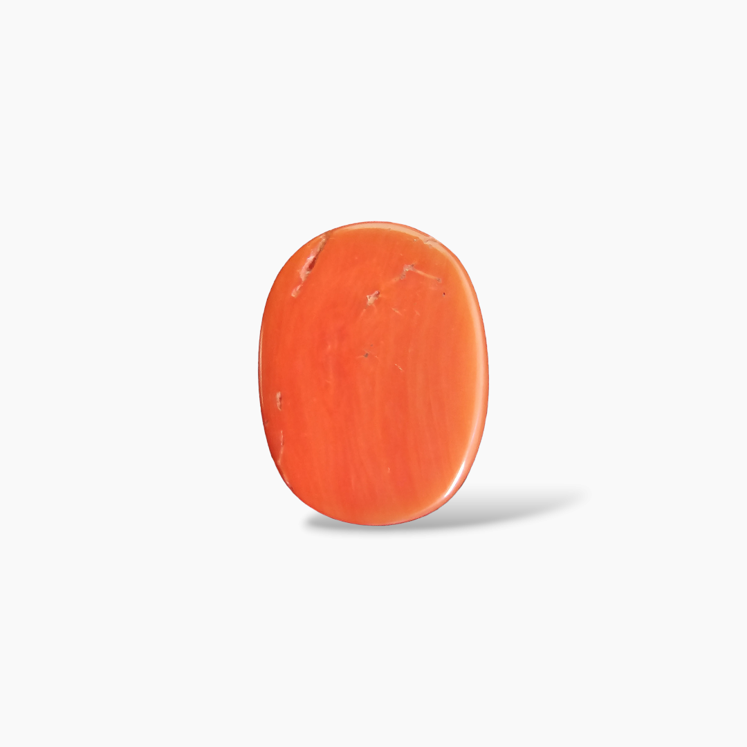 loose Natural Coral  Stone 11.68 Carats Cabochon Shape  ( 16.5x12.8 mm )
