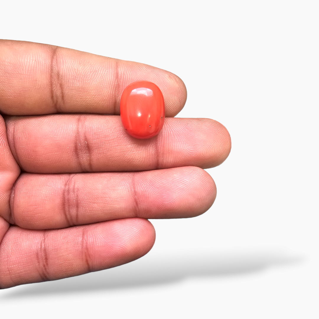 for sale Natural Coral  Stone 11.68 Carats Cabochon Shape  ( 16.5x12.8 mm )