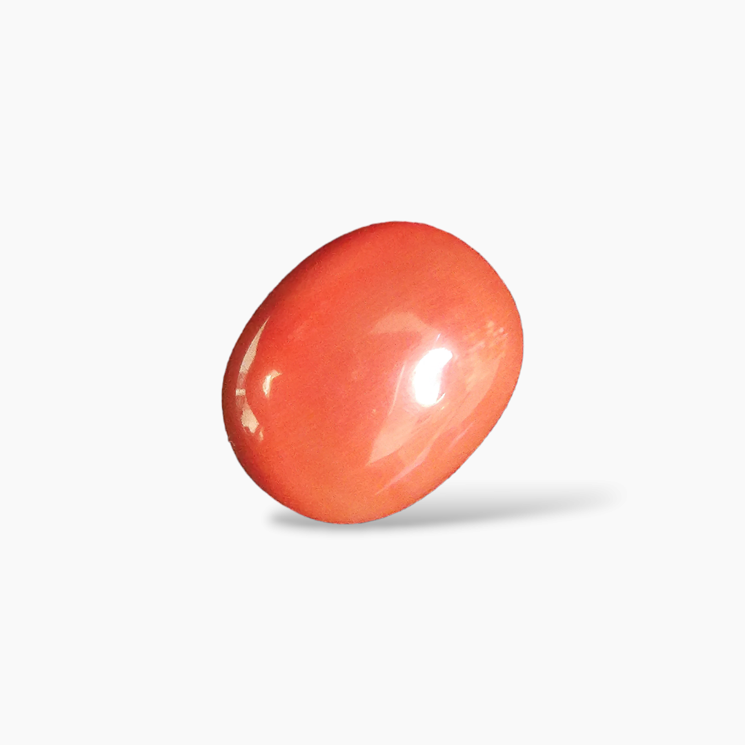 shop Natural Coral  Stone 20.4 Carats Cabochon Shape  ( 18x15 mm )