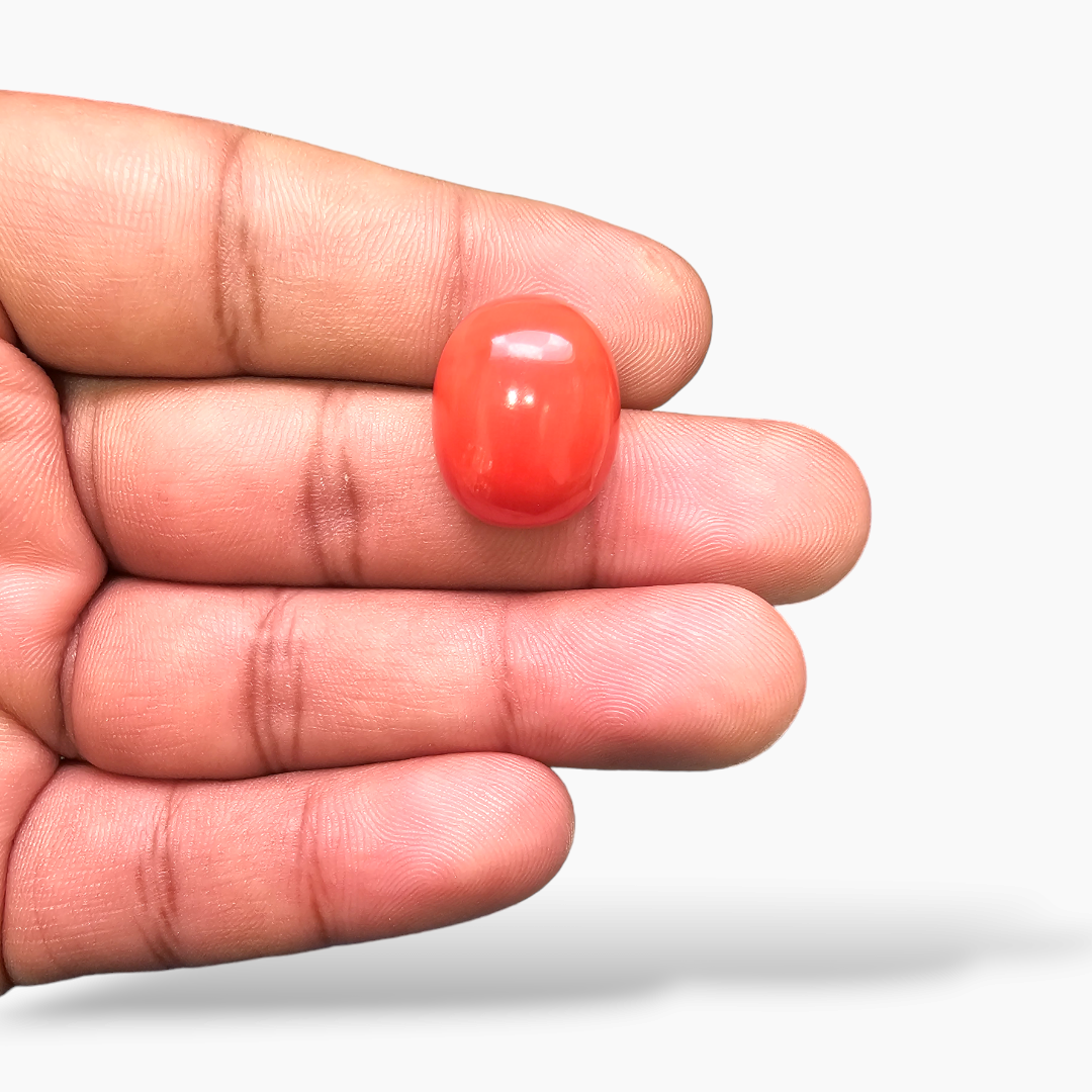 loose Natural Coral Stone 20.4 Carats Cabochon Shape ( 18x15 mm )