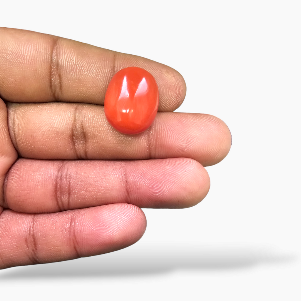 loose Natural Coral  Stone 18.15 Carats Cabochon Shape  ( 19x15.5 mm ) 