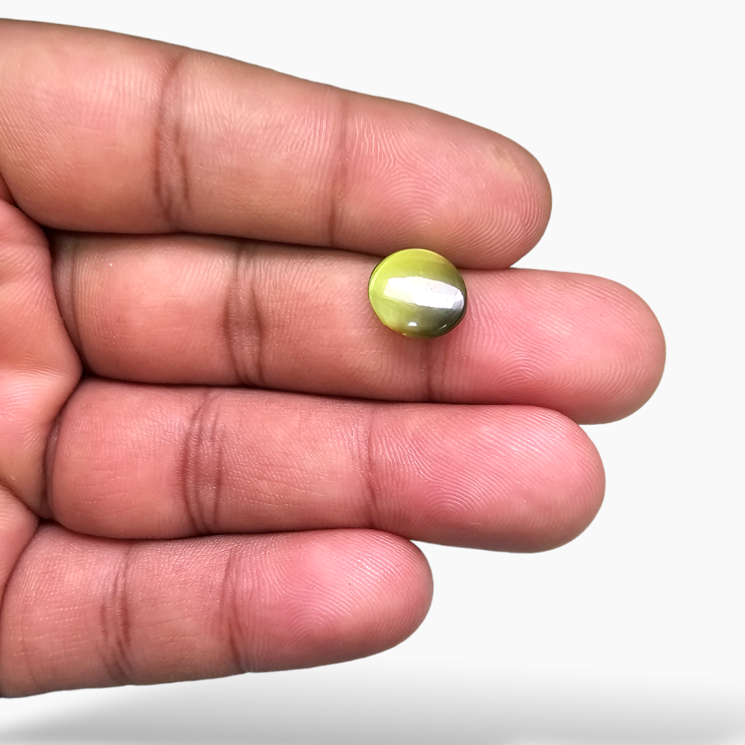 for sale Natural Cats Eye  Stone 3.46 Carats Cabochon  ( 10.5x9.3 mm ) 