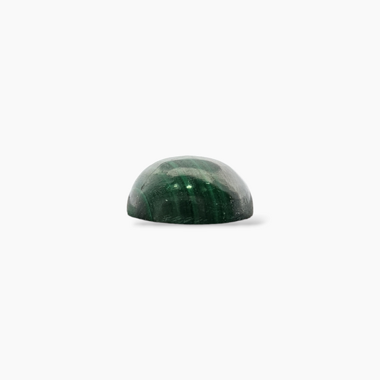 shop Natural Malachite Stone 4.90 Carats Round  Cabochon Shape ( 10 mm )