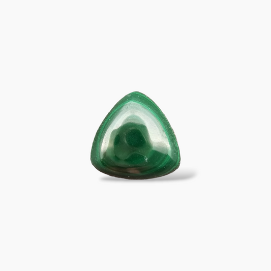 buy Natural Malachite Stone 4.87 Carats Trilliant Cabochon Shape ( 10 mm )