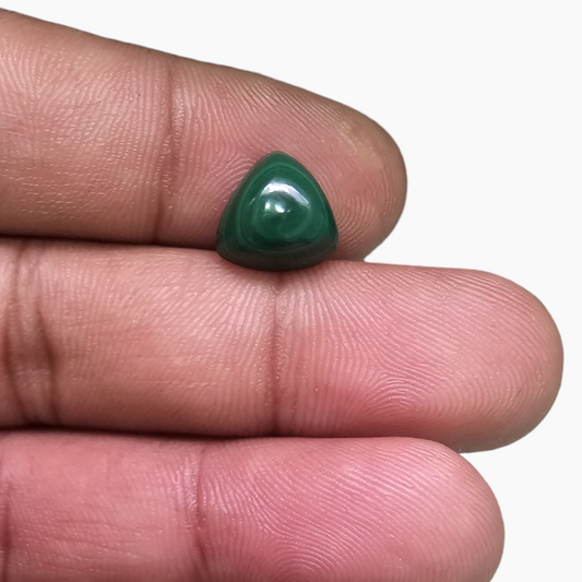 for sale Natural Malachite Stone 4.87 Carats Trilliant Cabochon Shape ( 10 mm )