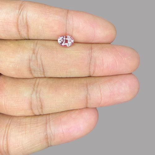 Oval Shape in Pink Sapphire Gemstone 1.57 Carats & 7.4 × 5.3 x 4.7 mm Size