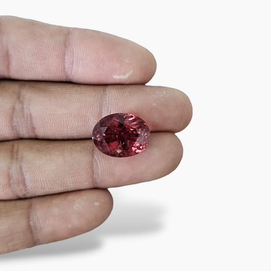 Red Loose Ruby Stone Oval Shape in 13.55 Carats for Sale