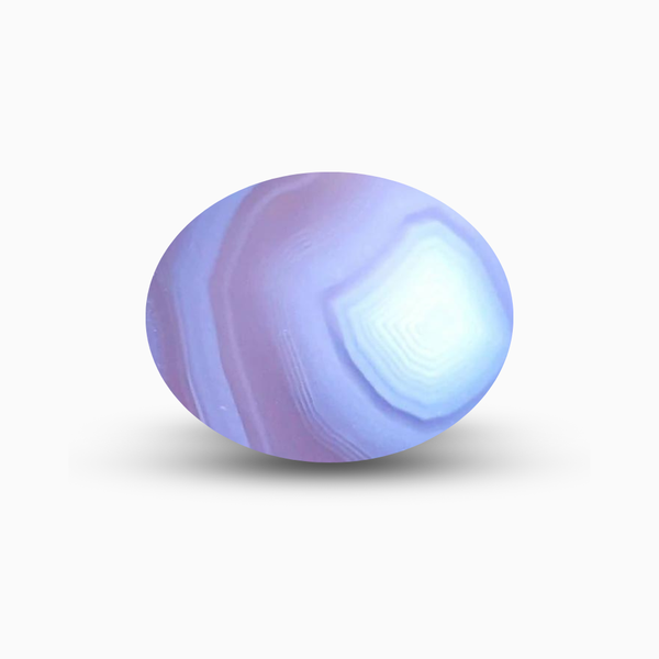 Purple Passion