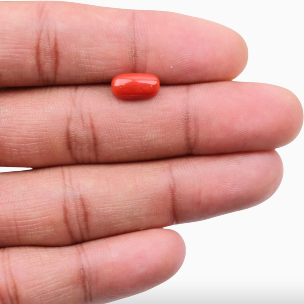 Natural Red Coral Stone 3.15 Carats In Oval Cabochon Shape 11.4x6mm Size