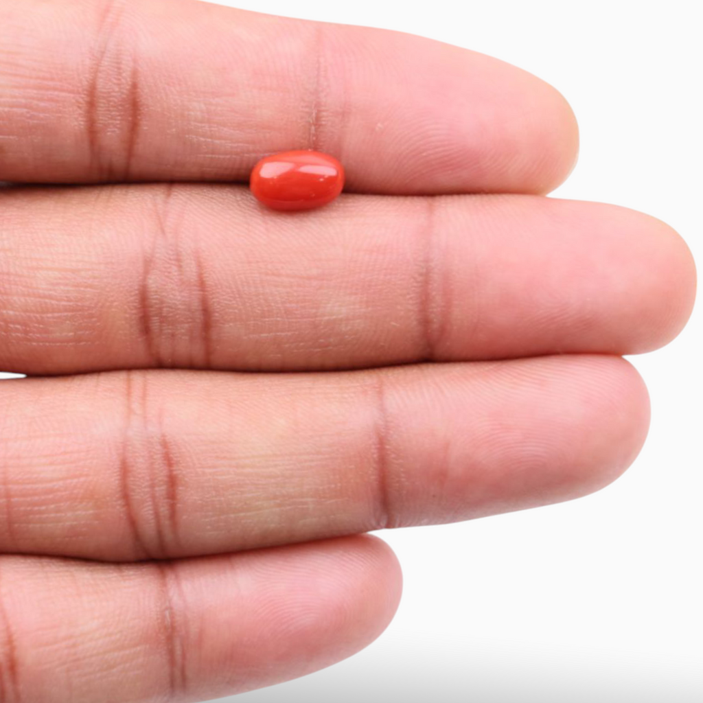 Natural Red Coral Mooga Stone 2.05 Carats In Oval Cabochon Shape 9.5x5.8mm Size