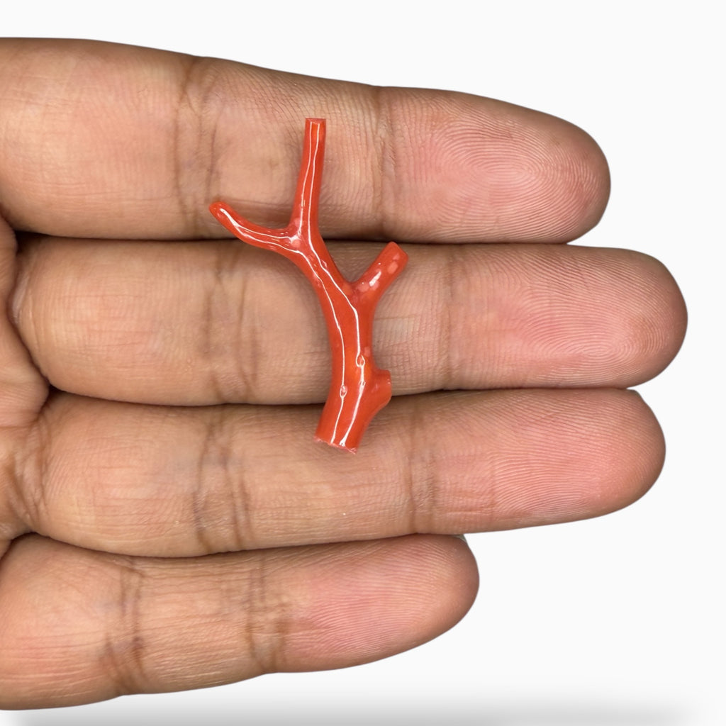 Red Coral Raw With Polish 6.02 Carats