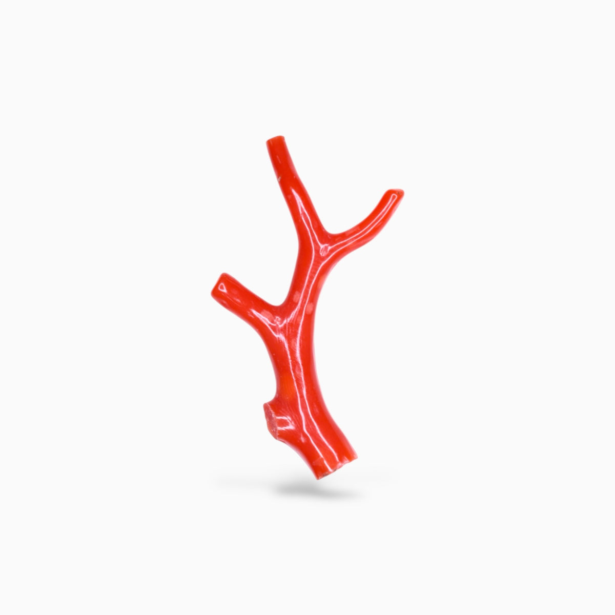 Red Coral Raw With Polish 6.02 Carats