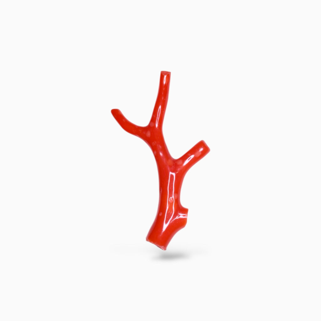 Red Coral Raw With Polish 6.02 Carats