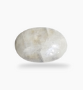 Natural Rainbow Moonstone Gemstone 11.43 Carats Oval Cabochon Shape 22x15mm