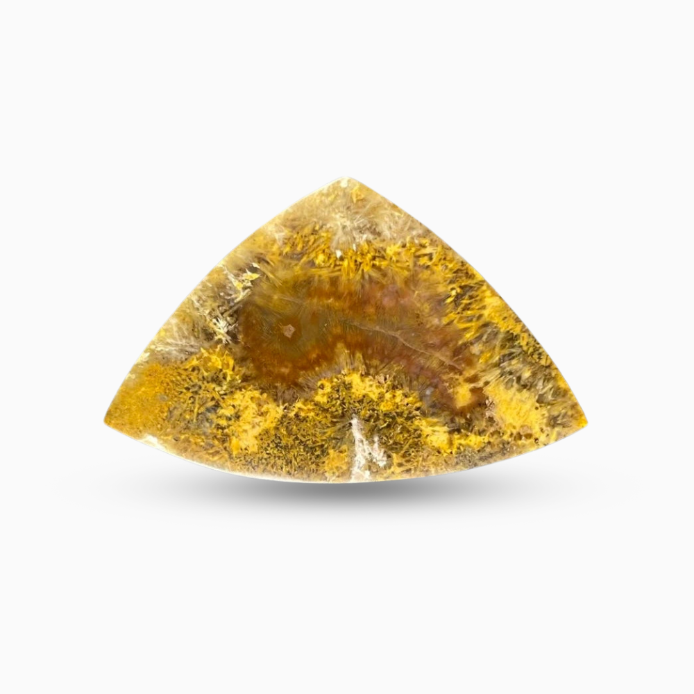 Natural Sagenite Agate Stone Fancy Cut