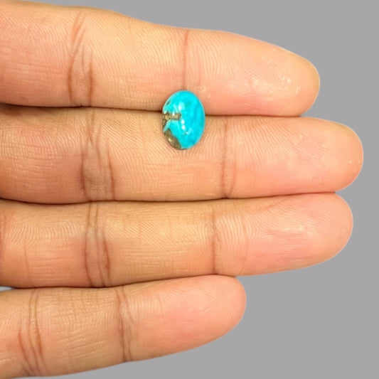 Wholesale Turquoise 3.14 Carats 11.6 x 8.4 x 4.7 mm in Oval