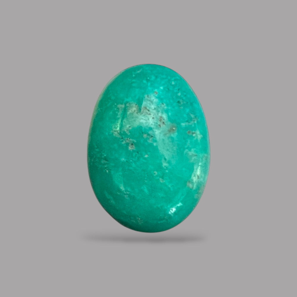 Turquoise Gem 23.57 Carats 24.3 x 17.7 x 8.8 mm in Oval