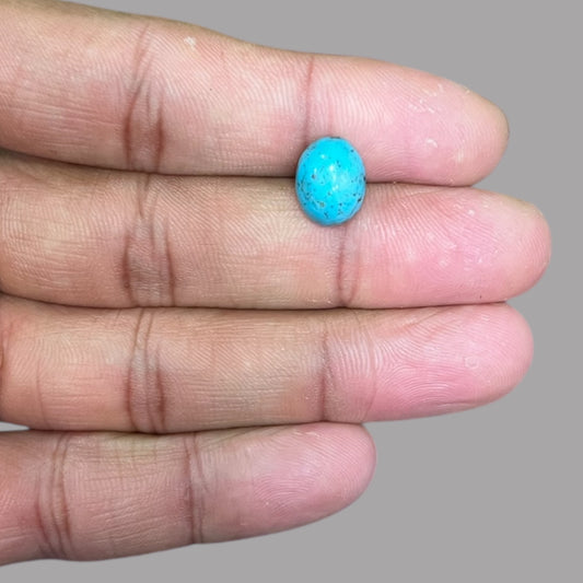 Turquoise Gem 3.59 Carats 11.5 x 8.9 x 6 mm in Oval