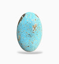 Turquoise Oval Cabochon Stone (Feroza) 45.64 Carats 37x20 mm