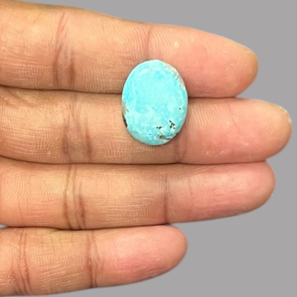 Wholesale Turquoise 12.33 Carats 20.8 x 15.8 x 5 mm in Oval