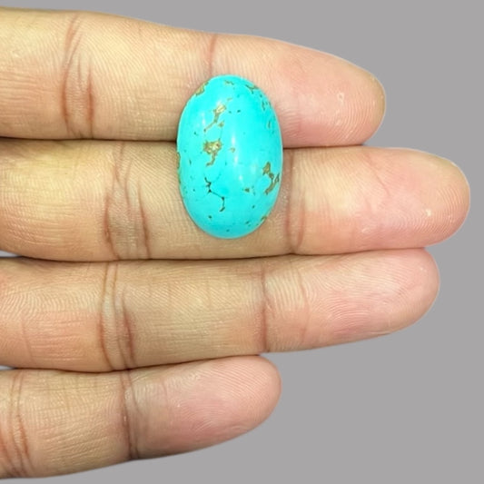 Wholesale Turquoise 20.95 Carats 24.6 x 15.9 x 7.2 mm in Oval 
