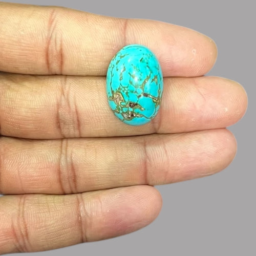 Wholesale Turquoise 21.69 Carats 23.4 x 16.2 x 8.5 mm in Oval