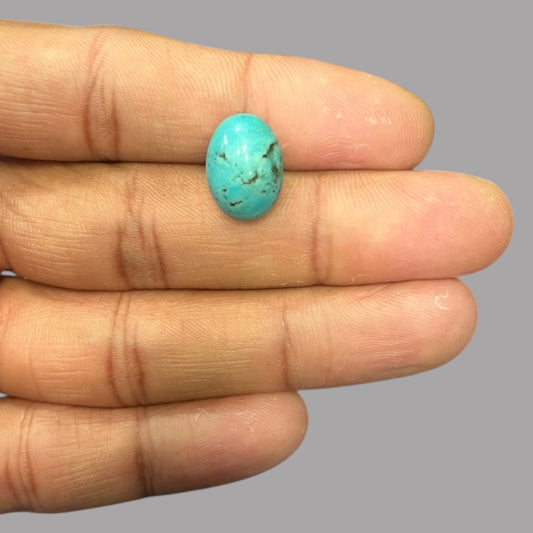 Wholesale Turquoise 5.85 Carats 14.8 x 10.7 x 6.4 mm in Oval 