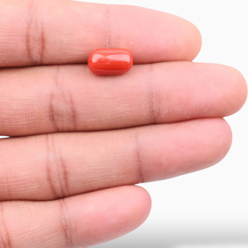 Best Red Coral Stone 5.28 Carats In Oval Cabochon Shape 12.7x7.5mm Size