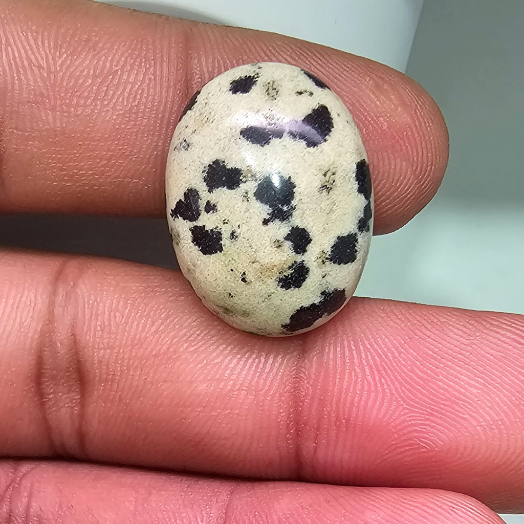 jasper oval 19  carats razagems.com...