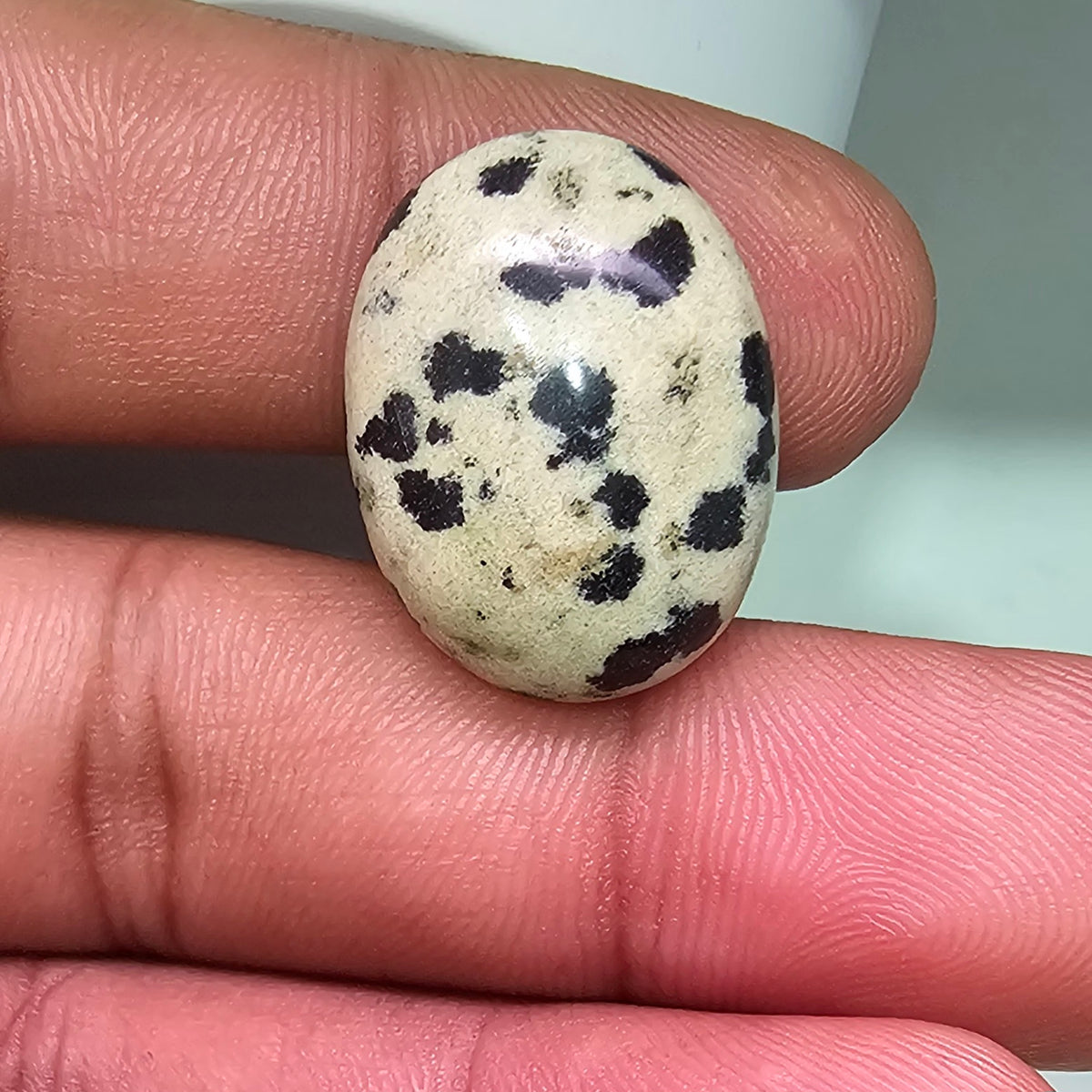 jasper oval 19  carats razagems.com...