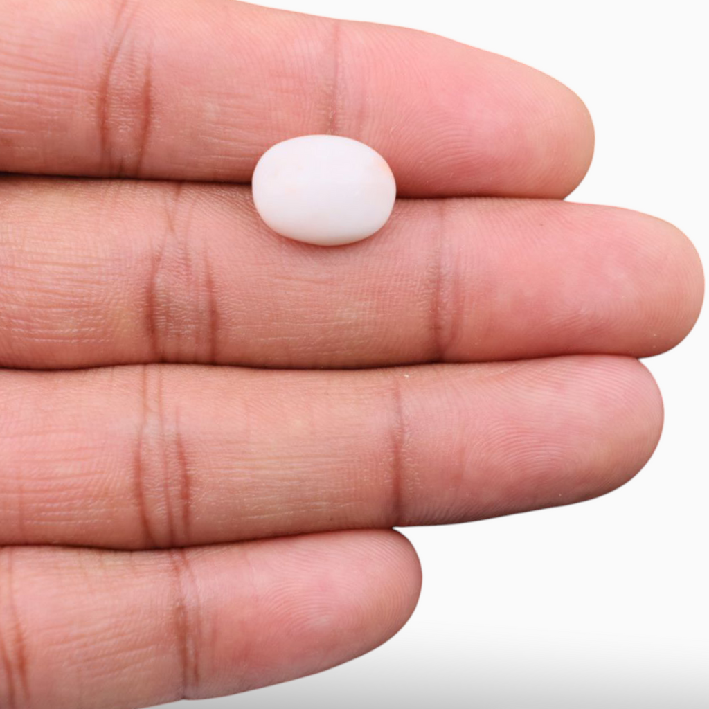 Pink Coral Stone For Sale 5.91 Carats In Oval Cabochon Shape 14x10.8mm Size