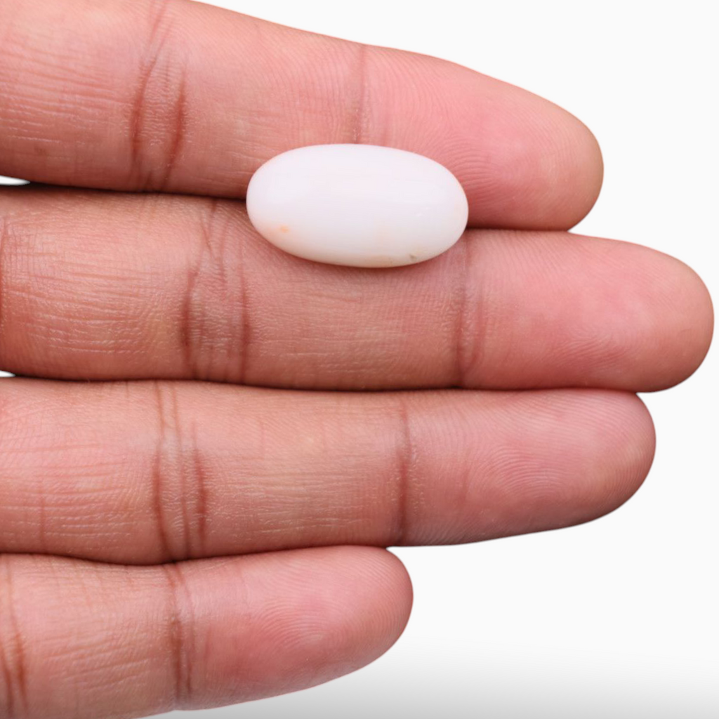 Buy Natural Pink Coral Stone For Sale 14.59 Carats In Oval Cabochon Shape 22.3x12.3mm Size