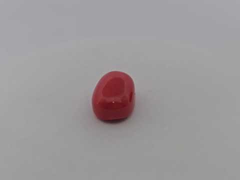 Natural Coral  Stone 13.36 Carats Cabochon Shape  ( 15.5x11.3 mm )