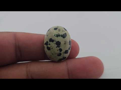 Natural Dalmatian Jasper Stone 19.76 Carats Oval Cabochon Shape ( 22x16.5 mm )