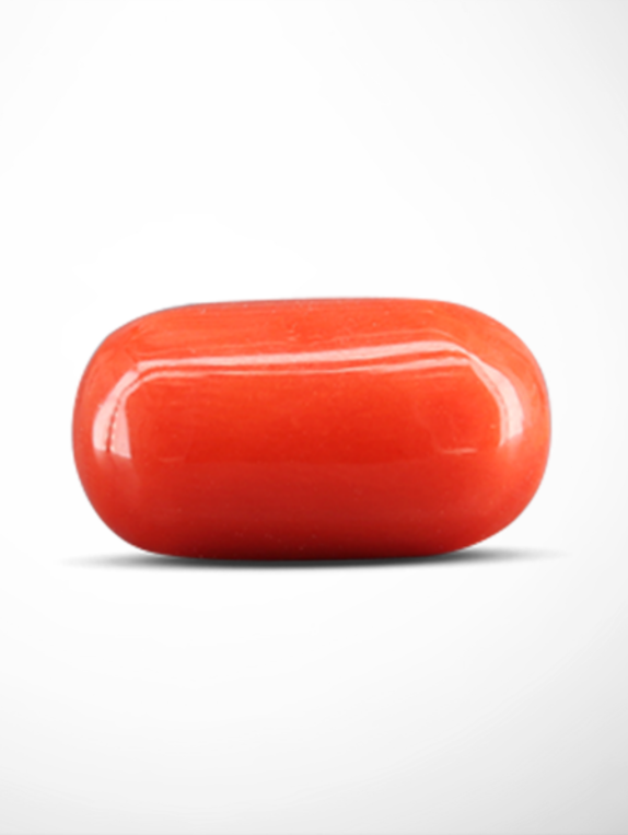 Red Coral (Moonga)