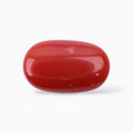 Best Red Coral For Sale In Oval Cabochon Stone 2.86 Carats  Size 10.7x6.5mm Size