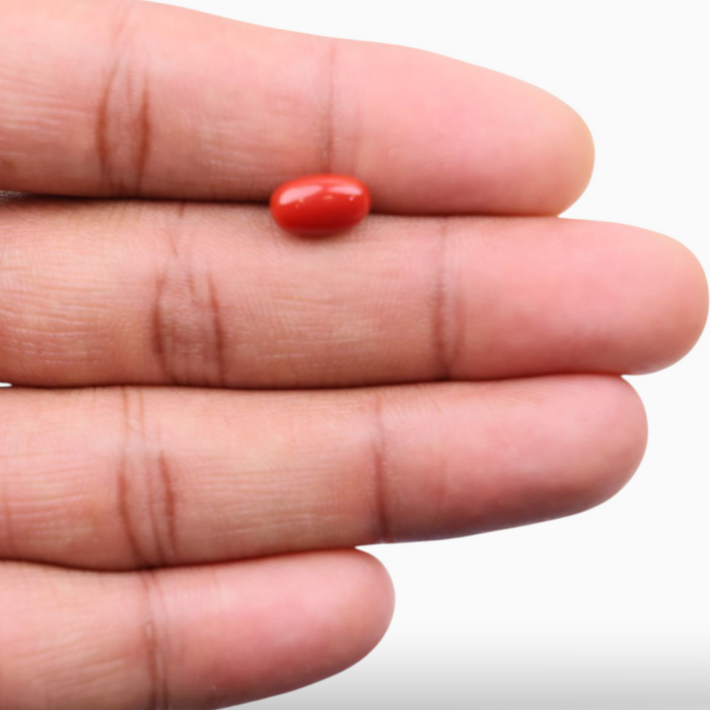 Best Original Red Coral Mooga Stone 2.29 Carats In Oval Cabochon Shape 10x5.8mm Size